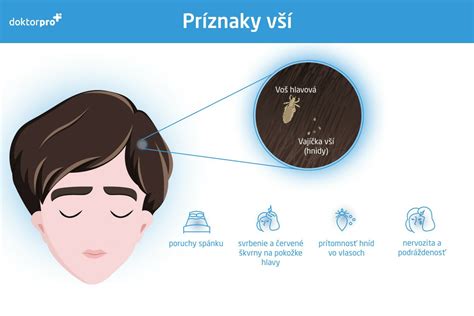 Detailný záber na vši a hnidy vo vlasoch