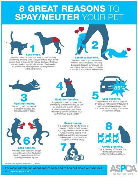 Comparison chart of benefits and considerations for spaying/neutering cats