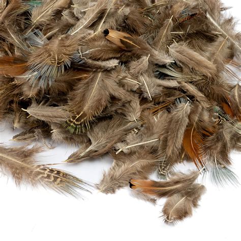 Koláž porovnávajúca rôzne typy kočíkov