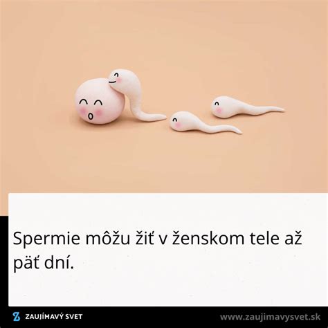 Infografika: Ako dlho prežijú spermie v ženskom tele