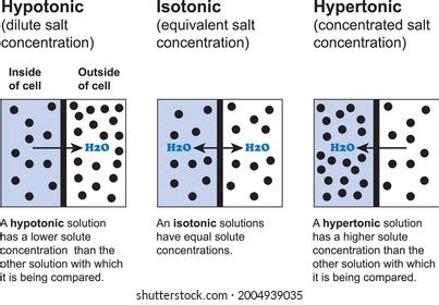 Comparison of isotonic and hypertonic saline solutions