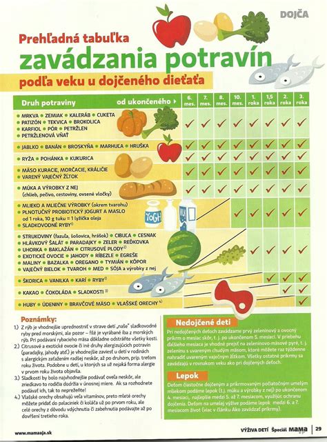Ilustrácia zavedenia prvých príkrmov