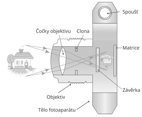 Dieťa objavujúce svet cez objektív fotoaparátu