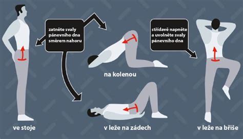 názorná ukážka cvičenia oberanie jabĺk