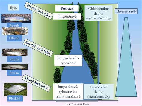Zobrazenie planetárnych pozícií a ich energetických tokov v natálnom horoskope