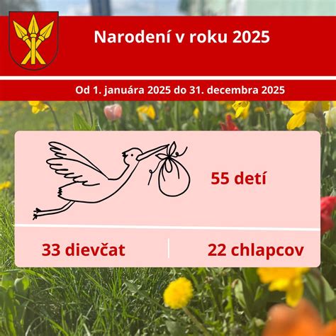 Infografika: Štatistiky narodení detí v Trstenej za rok 2025