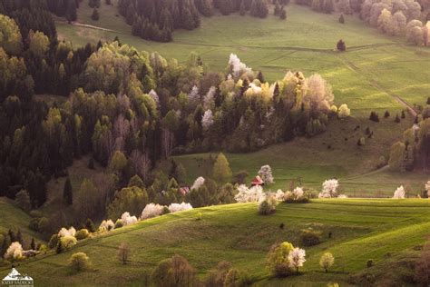 Záber na oravskú krajinu na jar s kvetmi