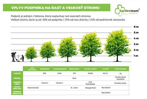 Zasadený strom symbolizujúci rast a život