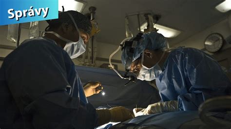 Veterinárny chirurg v operačnej sále
