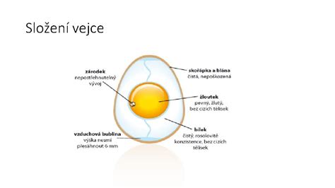 Složení slepičího vejce
