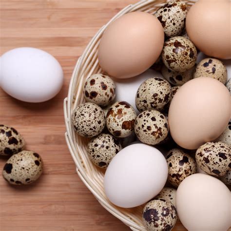 Rôzne druhy úpravy vajec