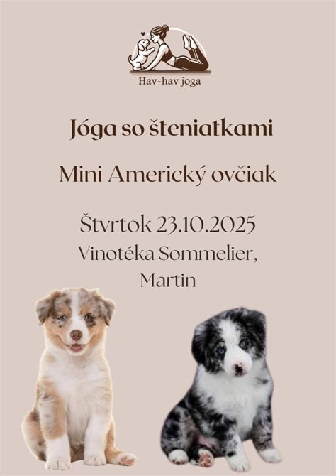 Matka so šteniatkami v pôrodnom boxe