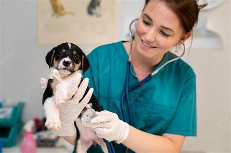 Veterinarian checking a newborn puppy