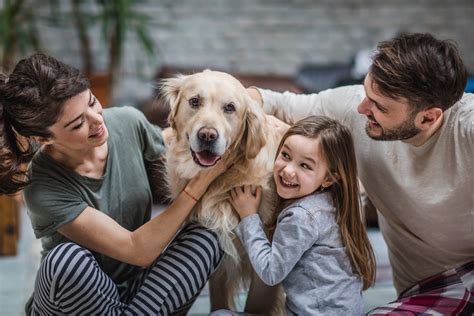 Happy puppy with new owners