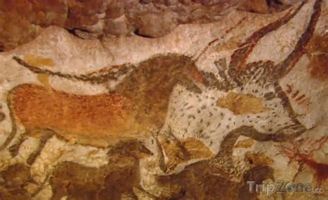Prehistorické maľby v jaskyni Lascaux