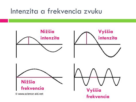 Zobrazenie sluchového systému a šírenia zvuku do mozgu