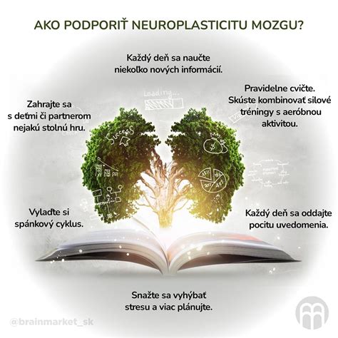 Vývoj detského mozgu a neuroplasticita