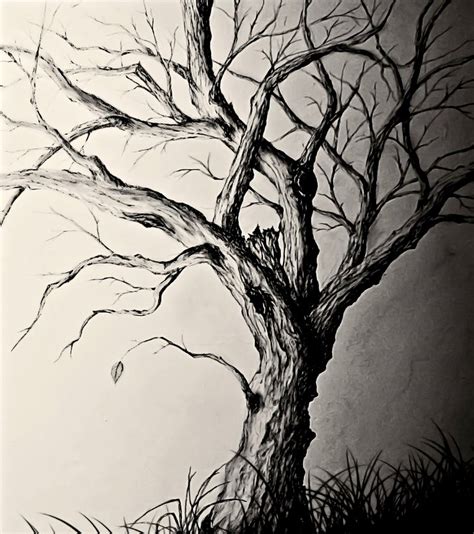 Príklad kresby stromu