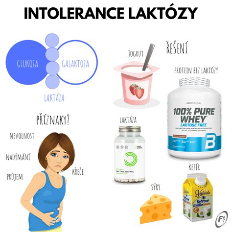 Infografika: Rozdiel medzi laktózovou intoleranciou a alergiou na mlieko