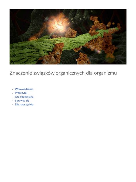Schéma starnúceho organizmu s fyziologickými zmenami