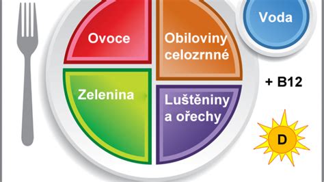 Infografika: Kľúčové živiny pre seniorov a ich zdroje