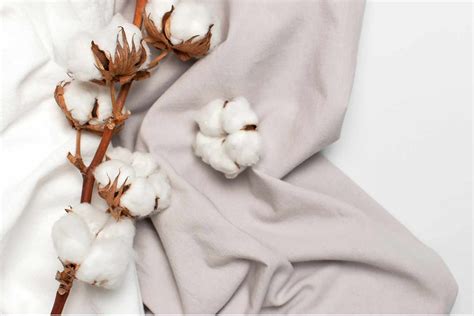 organic cotton fabric texture