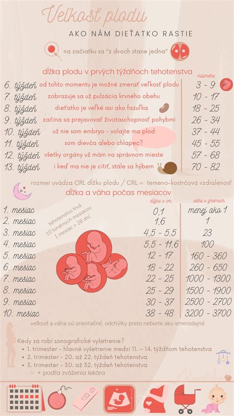 Vplyv genetiky a výživy na veľkosť plodu