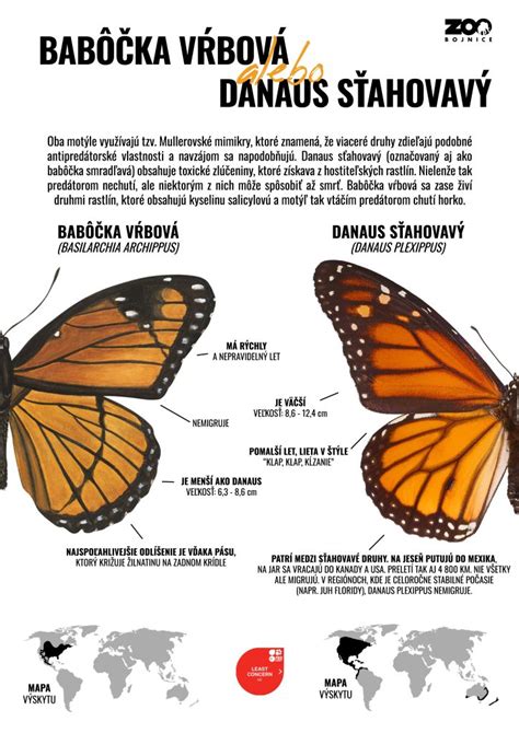 Infografika: Rozdiel medzi strachom a úzkosťou