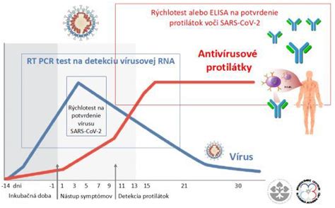 Diagram imunitnej odpovede organizmu na vakcínu