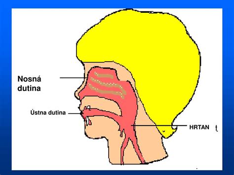 Detská nosová dutina s hlienmi