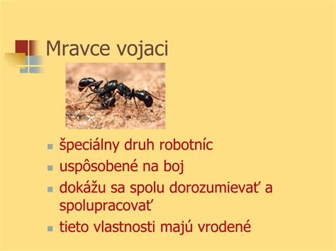 Okrídlené mravce v prírodnom prostredí