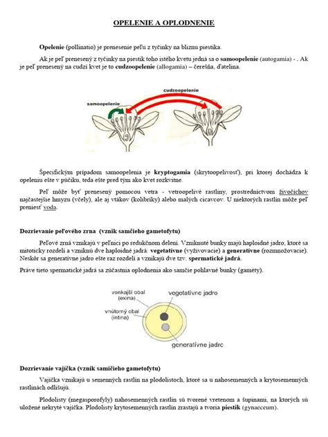 Schéma biologického procesu oplodnenia vajíčka spermiou vo vajíčkovode