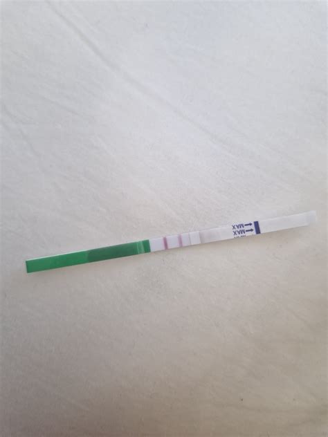 Ovulačný test ukazuje pozitívny výsledok