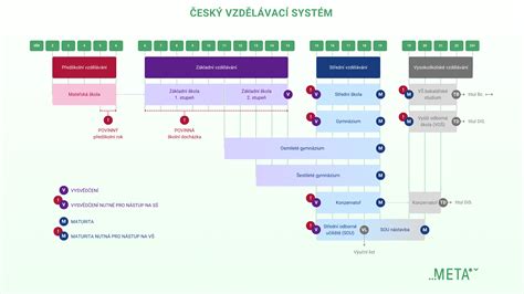 Schéma mužského reprodukčného systému s Cowperovými žľazami a močovou trubicou