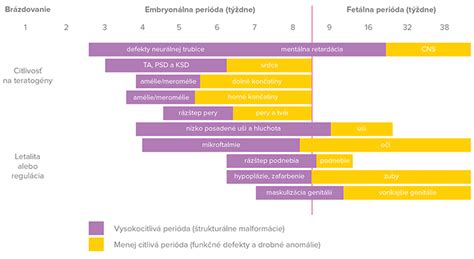 Prehľad vrodených vývojových chýb súvisiacich s nedostatkom kyseliny listovej