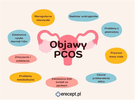 Infografika vysvetľujúca vplyv PCOS na ovuláciu a plodnosť