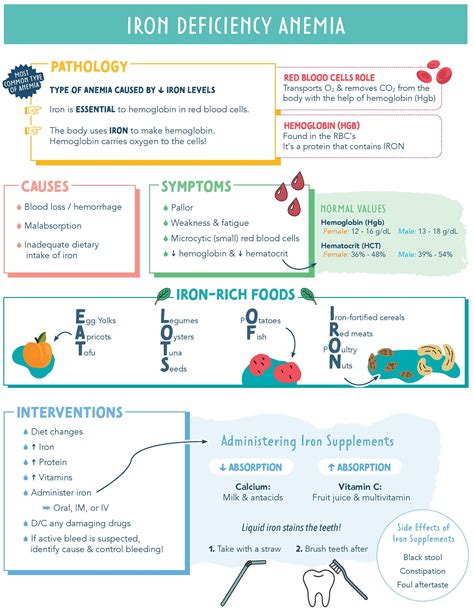 Infographic on causes of iron deficiency