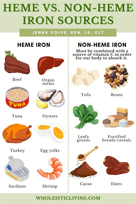 Comparison of heme and non-heme iron sources