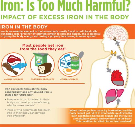 Infographic on iron supplementation forms