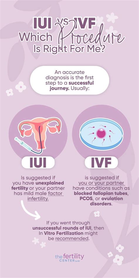 infografika: porovnanie IUI a IVF