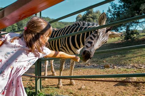 ZOO Košice - rodinný zážitok