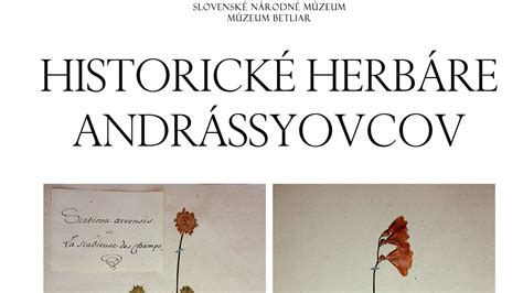 Historické herbáre a zmienky o Pakoste smradľavom