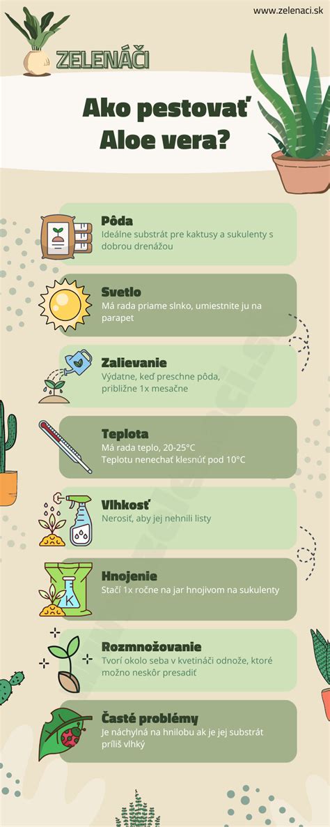 Infografika s prínosmi aloe vera a priedušných materiálov pre pokožku bábätka