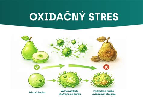 Antioxidačná ochrana buniek