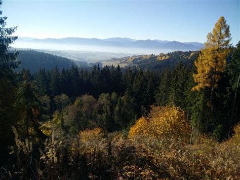 Karpatský les na Slovensku