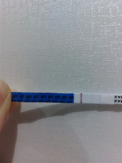 Interpretácia ovulačného testu
