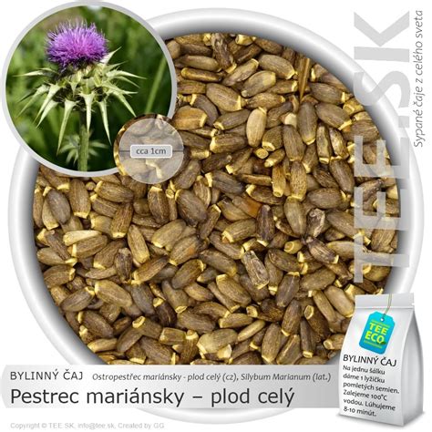 pestrec mariánsky v prírodnom prostredí