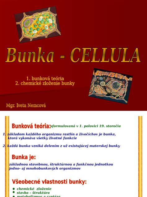 Zloženie placentových ampuliek