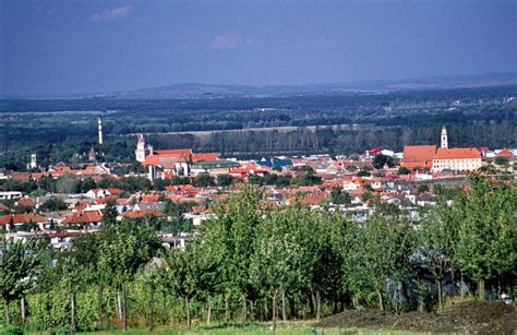Panoráma Skalice s historickými budovami, naznačujúca jej bohatú minulosť