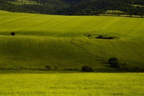 Zelené pole so symbolom plačúceho dieťaťa